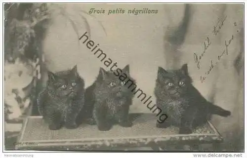 Katzen - Trois petits négrillons