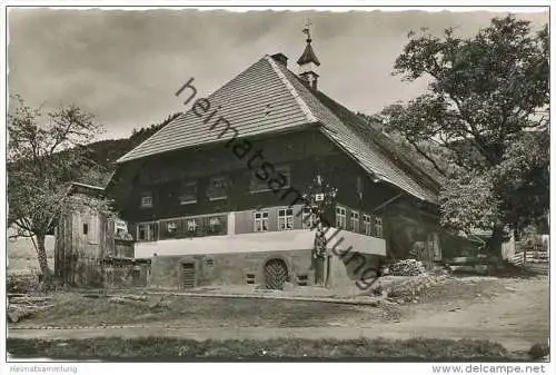 Schwarzwaldhaus - Foto-AK