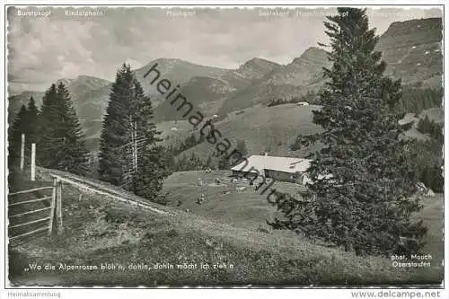 Scheidegg im Allgäu - Foto-AK