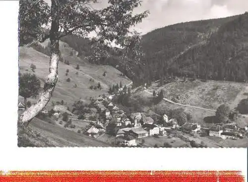 aftersteg im südl. schwarzwald (Nr. 7817)