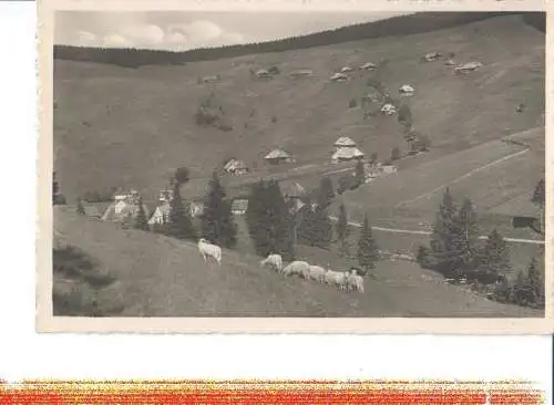 muggenbrunn, schwarzwald, 1954 (Nr. 7868)