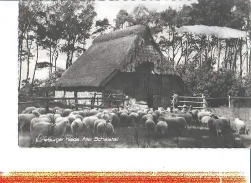 lüneburger heide, alter schafstall (Nr. 7895)