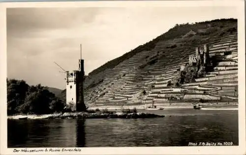 mäuseturm, ruine ehrenfels (Nr. 9743)