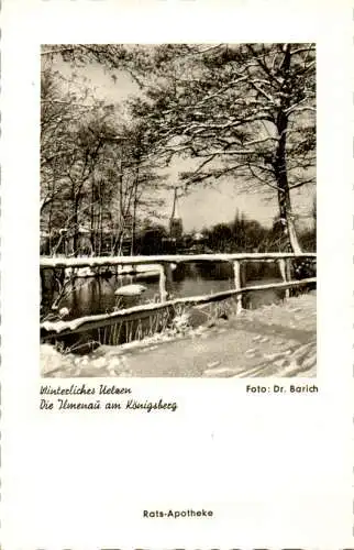 uelzen, die ilmenau am königsberg, dr. barich (Nr. 10156)