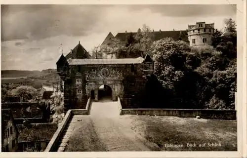 tübingen, blick auf schloß (Nr. 12821)