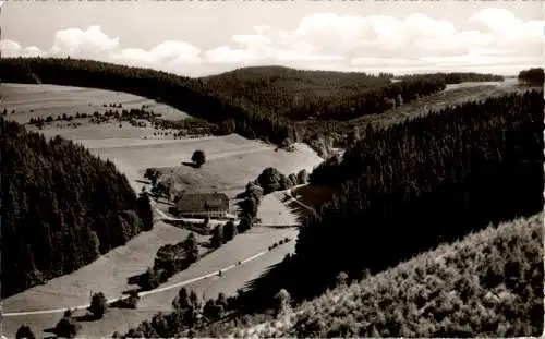 grafenhausen-rothaus im schwarzwald (Nr. 12945)