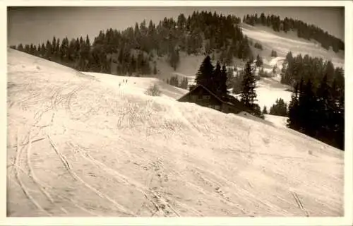 skiabfahrt über waltnersalpe nach steibis über oberstaufen (Nr. 16331)