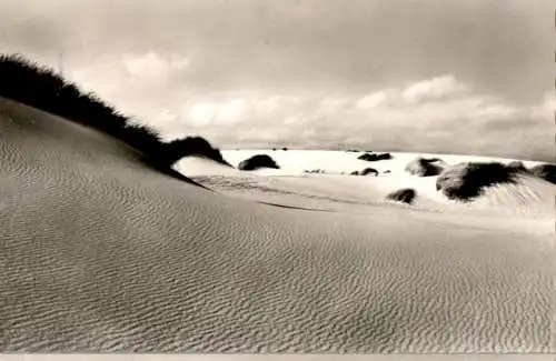 insel sylt, vom winde verweht (Nr. 16355)