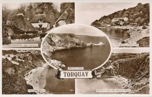 PC49352 Torquay. Multi-View. RP