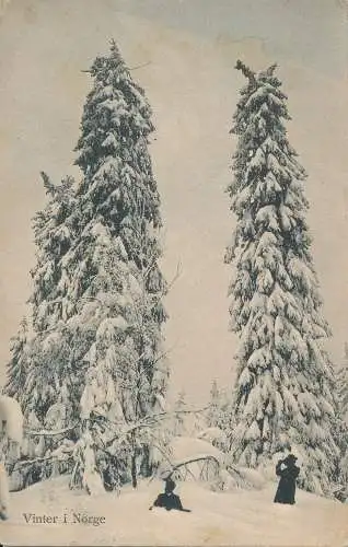 PC50021 Vinter i Norge. E.A. Schjorn. Nr. 567