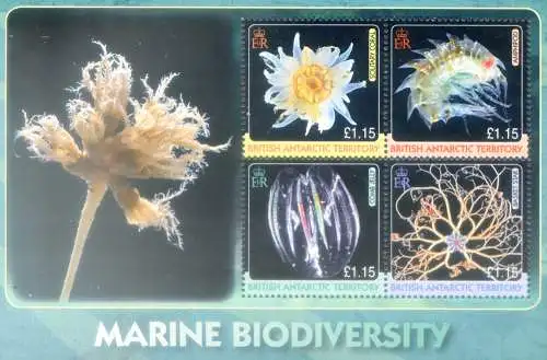 Meeresbiodiversität 2010.