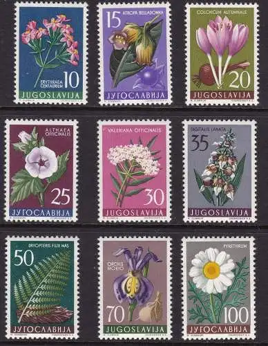 1957 JUGOSLAWIEN - Jugoslawische Flora 9 postfrisch/**