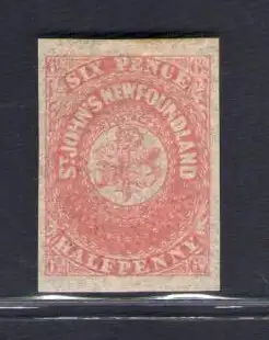 1862-64 TERRANOVA - NEUFUNDLAND - SG 21 - 6 1/2 d. Rose Lake - MH*