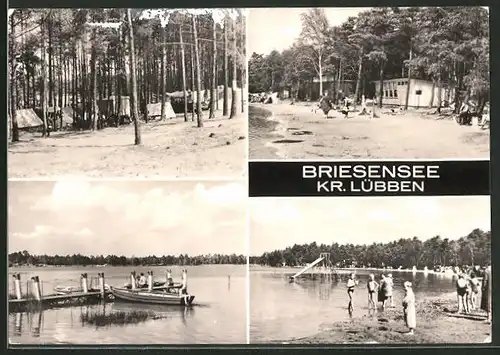 AK Briesensee, versch. Ansichten