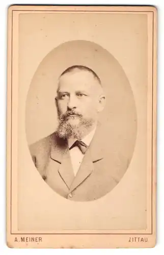 Fotografie A. Meiner, Zittau, Portrait Herr mit Bart