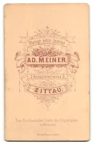 Fotografie A. Meiner, Zittau, Portrait Herr mit Bart