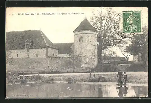 AK Chateauneuf-en-Thimerais, La Ferme du Poirier Fleuri