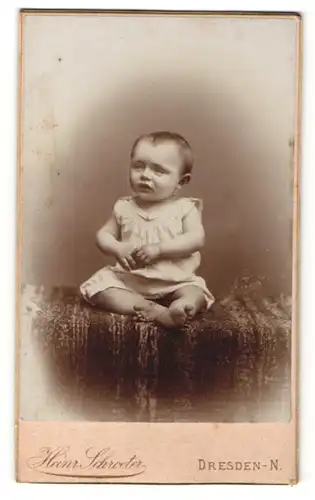 Fotografie Heinr. Schroeter, Dresden, Baby auf Teppich sitzend