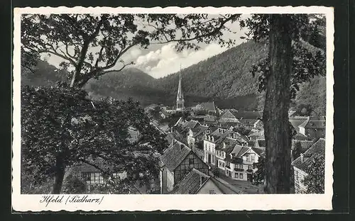 AK Ilfeld / Südharz, Panoramablick vom Berg