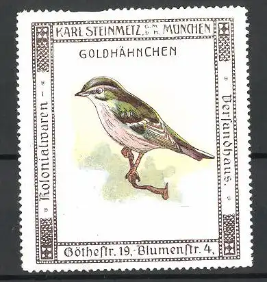 Reklamemarke Kolonialwaren Karl Steinmetz, München, Goldhähnchen sitzt auf einem Zweig