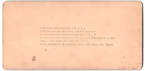 Stereo-Fotografie Underwood & Underwood, New York, Ansicht New York, NY, Lover`s Lane in Central Park