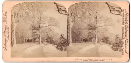 Stereo-Fotografie Underwood & Underwood, New York, Ansicht Niagara Falls, NY, A Crystel Vista