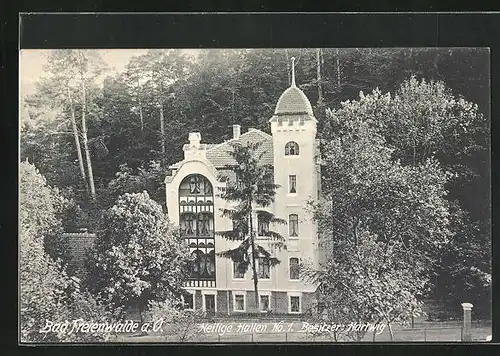 AK Bad Freienwalde a. O., Gasthaus-Hotel Heilige Hallen