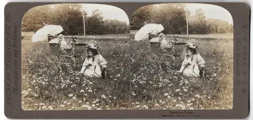 Stereo-Fotografie American Stereoscopic Co., New York, Mädchen beim Pflücken von Gänseblümchen, Kinderwagen