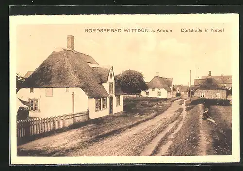 AK Wittdün a. Amrum, Dorfstrasse in Nebel