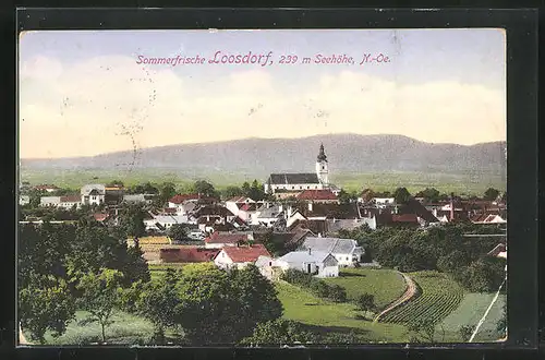 AK Loosdorf, Teilansicht mit Kirche