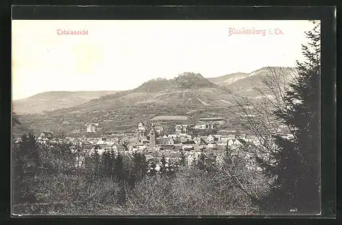 AK Blankenburg / Thür., Totale vom Berg gesehen