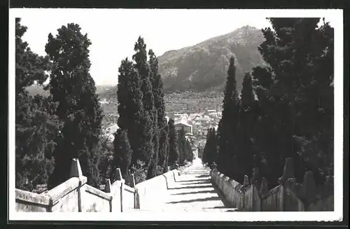 AK Pollenca / Mallorca, Panorama