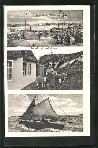 AK Norddorf / Amrum, Strand bei Sturm, Frau mit Schafen, Segelboot