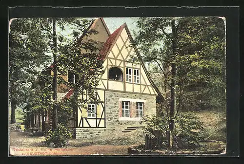 AK Neustadt i. Südharz, Restaurant zur Ruine Hohnstein