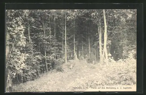 AK Leezen, Partie auf dem Bocksberg mit der Jagdhütte und mit Wanderern