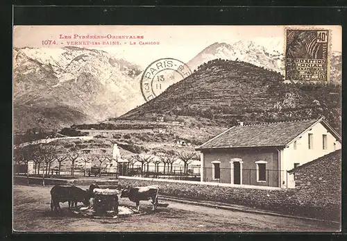 AK Vernet-les-Bains, Le Canigou, Kühe am Brunnen unter dem Berg