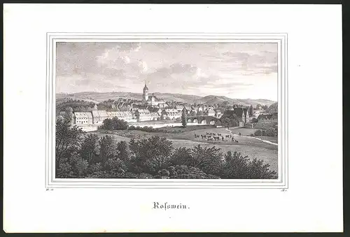 Lithographie Rosswein, Geesamtansicht, Lithographie um 1835 aus Saxonia