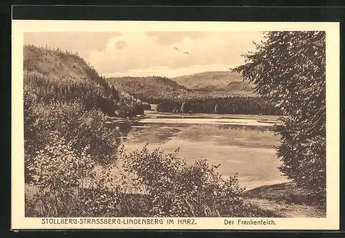 AK Stolberg-Strassberg-Lindenberg / Harz, Blick auf den Frankenteich