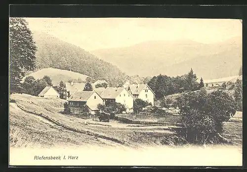 AK Riefensbeek i. Harz, Panorama