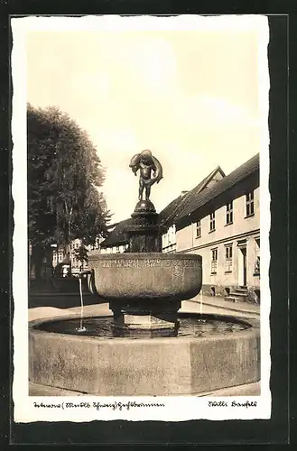 AK Teterow i. Meckl., Blick zum Hechtbrunnen