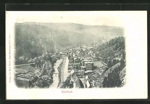 AK Rübeland /Harz, Ortsansicht