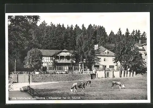 AK Wehrheim / Taunus, Restaurant Lochmühle