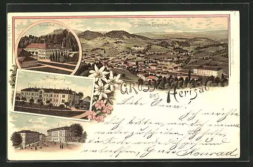 Lithographie Herisau, Krankenhaus, Poststrasse, Heinrichsbad, Gesamtansicht