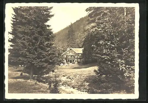 AK Tabarz / Thür. Wald, Waldrestaurant Massemühle im Lauchagrund