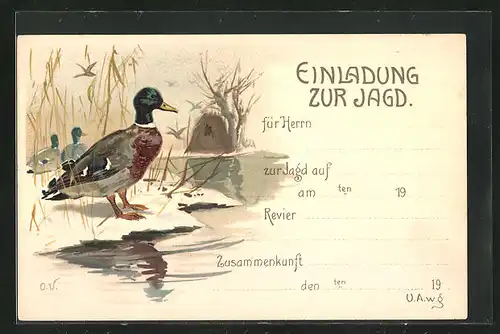 Lithographie Jagdeinladung mit Stockenten-Erpel im Schilf