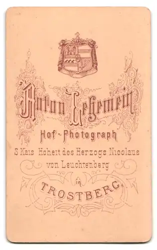 Fotografie Anton Lehemeir, Trostberg, Brustportrait modisch gekleideter Herr mit Moustache