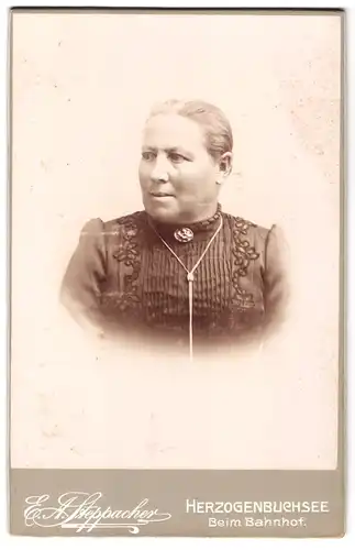 Fotografie E. A. Steppacher, Herzogenbuchsee, beim Bahnhof, Portrait rundliche Frau im Biedermeierkleid mit Brosche