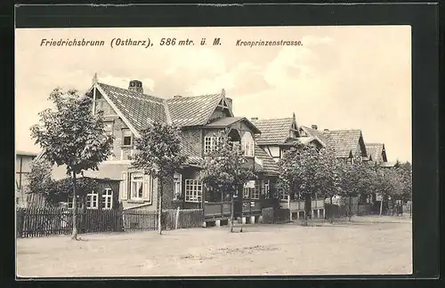 AK Friedrichsbrunn / Harz, Partie an der Kronprinzenstrasse