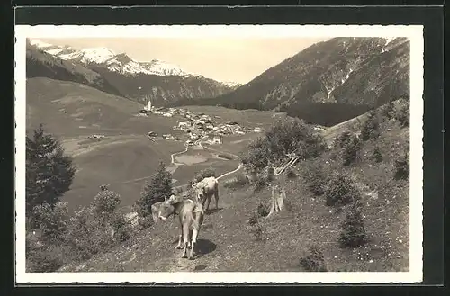 AK Berwang, Ortsansicht mit Lechtaler Alpen