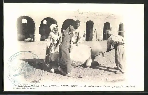 AK Extrême-Sud Algérien, Beni-Abbès, Le Marquage d'un mehari, arabische Volkstypen